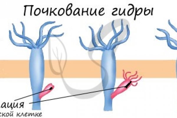 Кракен переход